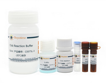 BeyoClick EdU-555细胞增殖检测试剂盒