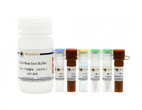BeyoClick EdU-555细胞增殖检测试剂盒