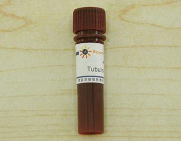 Tubulin-Tracker Red (微管红色荧光探针)