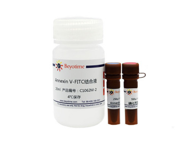 Annexin V-FITC细胞凋亡检测试剂盒