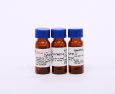 细胞色素C(马心)