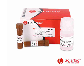 ANNEXIN V- FITC/PI 凋亡检测试剂盒