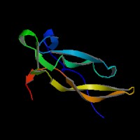 小鼠白介素17(IL-17)ELISA Kit CSB-E04608m