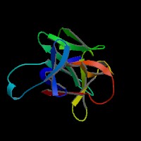 小鼠白介素18(IL-18)ELISA Kit CSB-E04609m