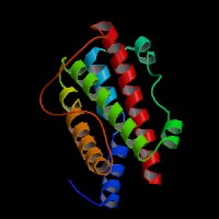小鼠抑瘤素M(OSM)ELISA Kit，CSB-E04697m