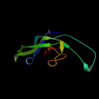 小鼠促卵泡素(FSH)ELISA Kit CSB-E06871m