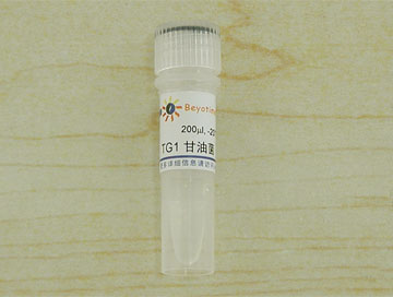 TG1 甘油菌