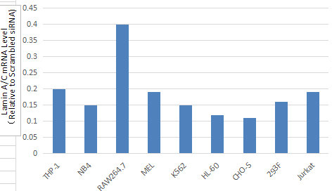 悬浮细胞 图1.png