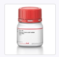 明胶 来源于冷水鱼类的皮肤（G7041）