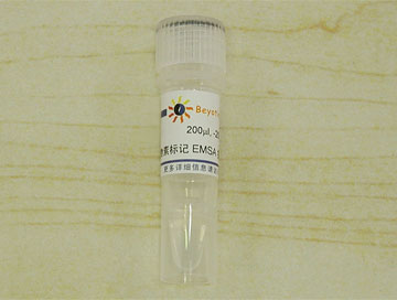 生物素标记EMSA探针－按需制备(0.2μM)