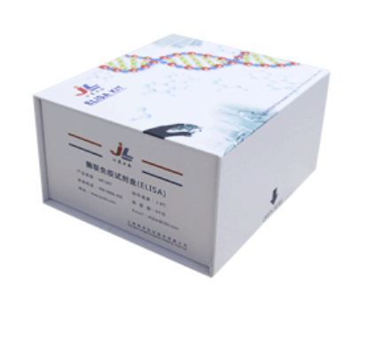 大鼠β淀粉样蛋白1-40(Aβ1-40)ELISA检测试剂盒 [货号:JL10226]