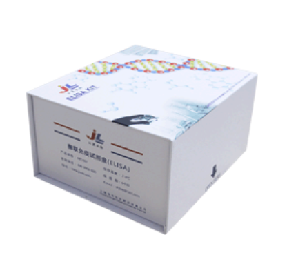 小鼠肾损伤分子1(Kim-1)ELISA检测试剂盒 [货号:JL10542]