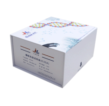 大鼠补体因子H(CFH)ELISA检测试剂盒 [货号:JL10544]