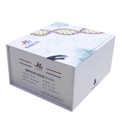 小鼠甲状旁腺素(PTH)ELISA检测试剂盒 [货号:JL20399]