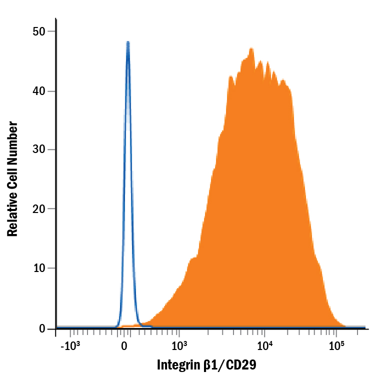 Human Integrin beta 1/CD29 Antibody