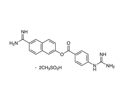 N129262 甲磺酸萘莫司他 ,≥98%