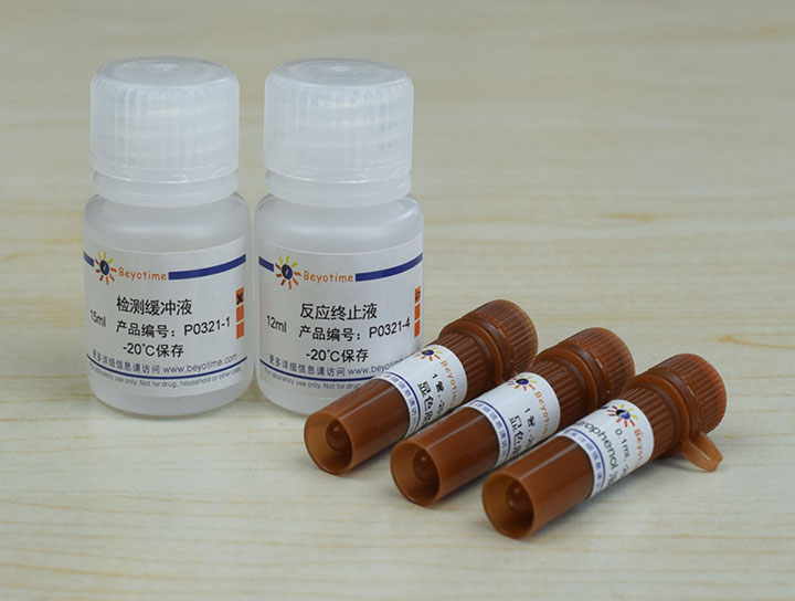 碱性磷酸酶检测试剂盒