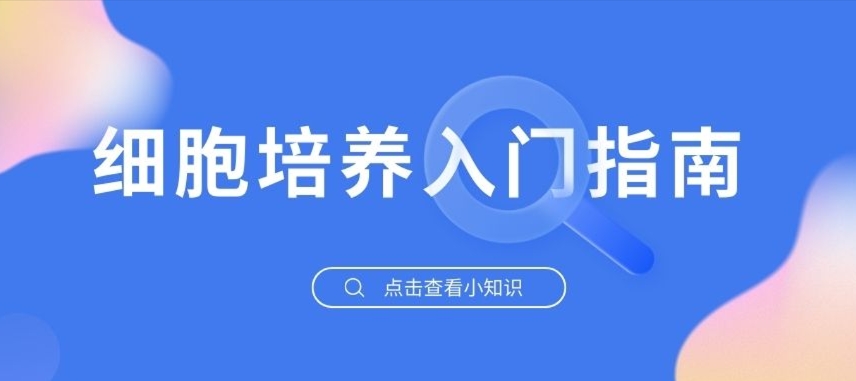 细胞培养入门指南：基础知识与耗材选型