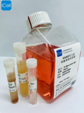 原代上皮细胞培养体系 PriMed-iCell-001
