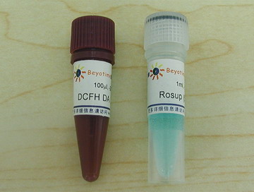 活性氧检测试剂盒