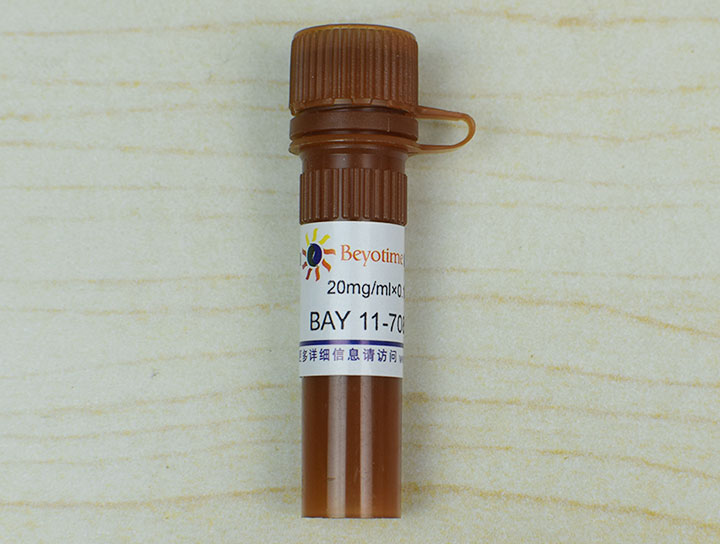 BAY 11-7082 (NF-κB抑制剂)