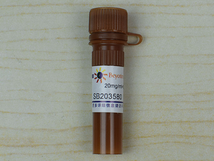 SB203580 (p38 MAPK抑制剂)