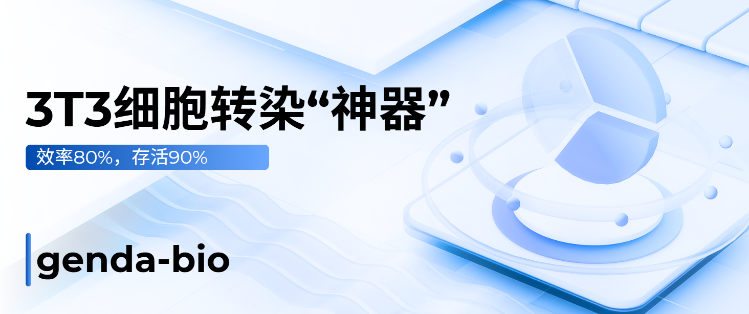 3T3 高效转染，原来这么简单！