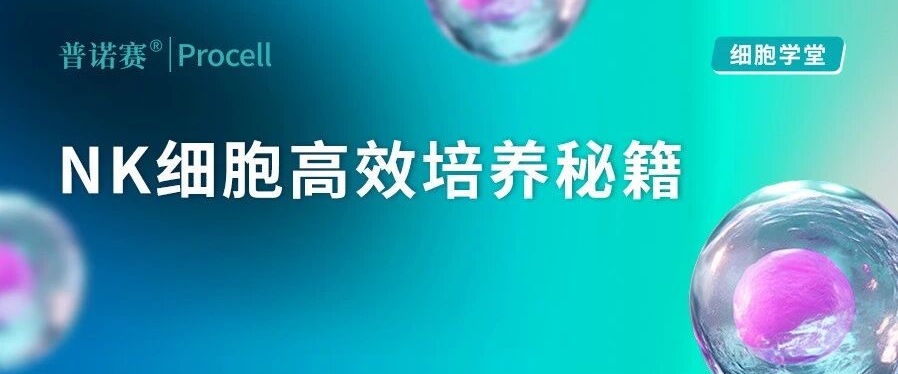 NK 细胞实验总翻车？分离、激活、扩增、冻存复苏等高效培养秘籍来袭