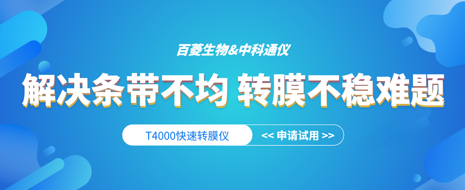 告别传统湿转，打造“数据可溯”的转膜新体验——T4000快速转膜仪zktony（免费试用）