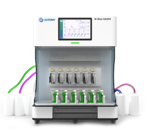 M-Blot G6000 高通量全能制胶仪 （可申请试用）