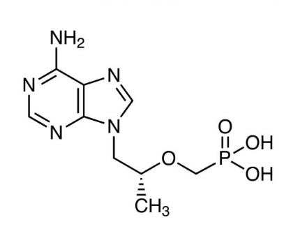 T125736 替诺福韦 ,≥99%
