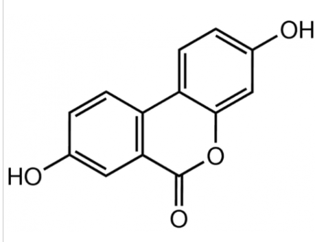 U287598 尿石素A ,≥98%(HPLC)