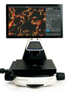 EVOS M5000活细胞荧光显微成像系统