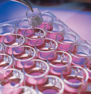 Millicell器官培养型站立式培养小室, 亲水PTFE膜, 0.4 µm, 30 mm, 50/pk PICM0RG50