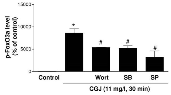 Anti-FOXO3A antibody - ChIP Grade (ab12162)