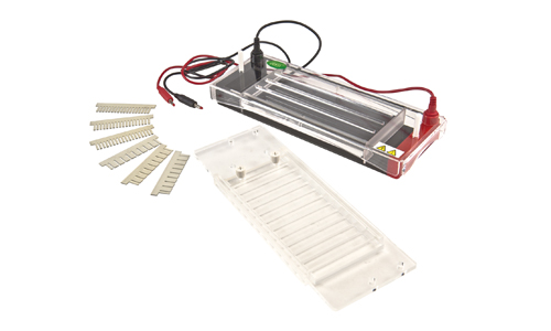 JY-SP3型 水平电泳槽