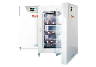 B8150高温灭菌培养箱