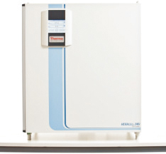 HERAcell 150i/240i系列培养箱