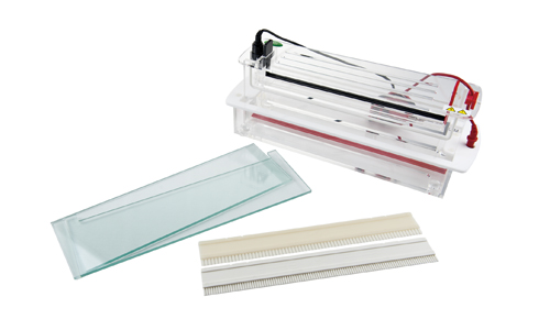 JY-SCZF型 高通量垂直电泳槽