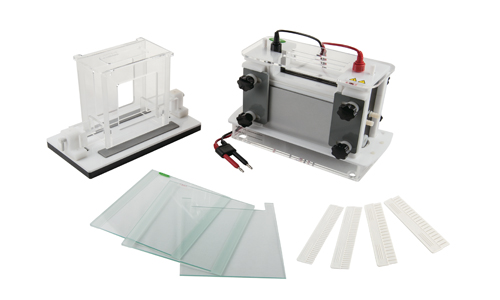 JY-SCZ8型 垂直电泳槽