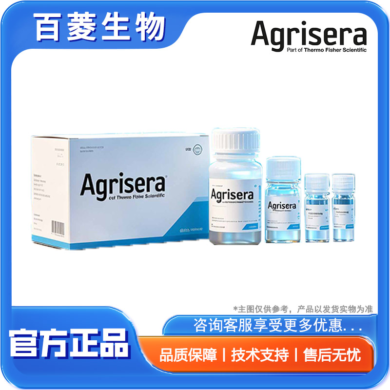 AS09 532A ，SE | Serrate RNA effector molecule (rabbit antibody)