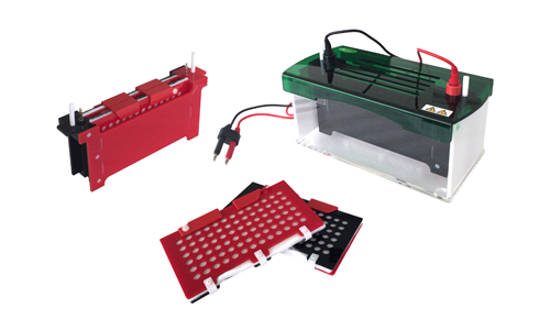 JY-ZY7型 转移电泳槽