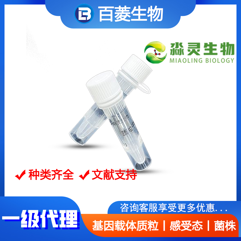 P80515  pLV3-CMV-EGFP-FOXO3(human)-EF1a-Puro