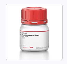 明胶 来源于冷水鱼类的皮肤 （G7041）