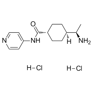 Y-27632 dihydrochloride