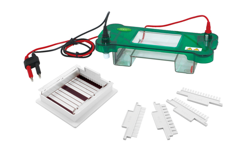 JY-SPBT型 水平电泳槽
