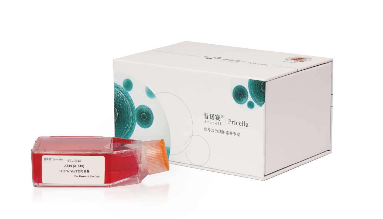 CM-SC01   人间充质干细胞无血清培养基