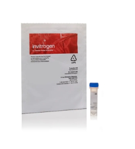 AM1344 mMESSAGE mMACHINE™ T7 转录试剂盒