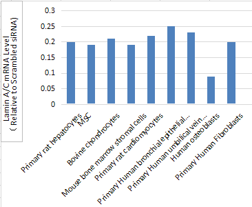 原代细胞 图1.png