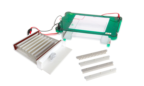 JY-SPHT型 水平电泳槽